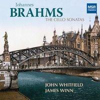Brahms: Cello Sonatas Nos. 1 and 2