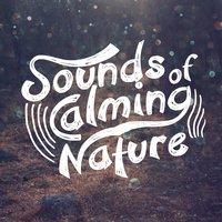 Sounds of Calming Nature
