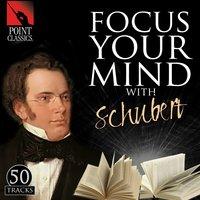 Focus Your Mind with Schubert: 50 Tracks