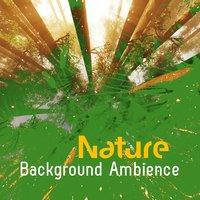 Nature Background Ambience