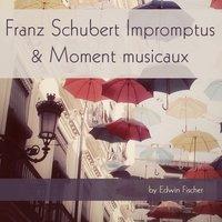 Franz Schubert: Impromptus & Moment musicaux