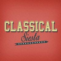 Classical Siesta