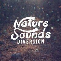 Nature Sounds: Diversion