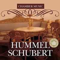 Hummel & Schubert: Chamber Music