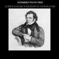 Schubert: Piano Trio, D. 929 & Fantaisie pour piano et violon, D. 934