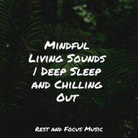 Mindful Living Sounds | Deep Sleep and Chilling Out