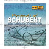 Friends Of Schubert