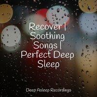 Recover | Soothing Songs | Perfect Deep Sleep