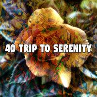 40 Trip to Serenity