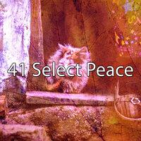 41 Select Peace