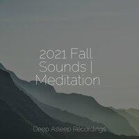 2021 Fall Sounds | Meditation