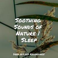 Soothing Sounds of Nature | Sleep
