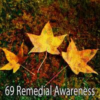 69 Remedial Awareness