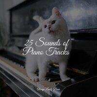25 Sounds of Piano Tracks