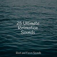 25 Ultimate Relaxation Sounds