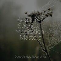 Soothing Sounds | Meditation Masters