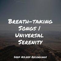 Breath-taking Songs | Universal Serenity