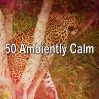 50 Ambiently Calm