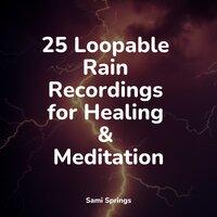 25 Loopable Rain Recordings for Healing & Meditation