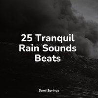 25 Tranquil Rain Sounds Beats