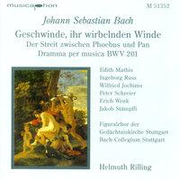 Bach, J.S.: Geschwinde, Ihr Wirbelnden Winde / Oboe D'Amore Concerto, Bwv 1055