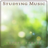 Studying Music: Ambient Music and Nature Sounds for Studying, Music For Focus and Concentration and Music For Reading, Relaxation and Study Music