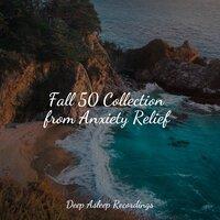 Fall 50 Collection from Anxiety Relief