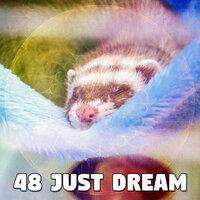 48 Just Dream