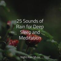 25 Sounds of Rain for Deep Sleep and Meditation
