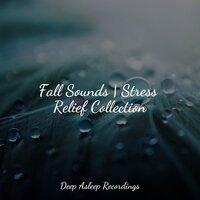 Fall Sounds | Stress Relief Collection