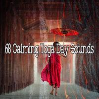 68 Calming Yoga Day Sounds