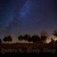 Nature & Deep Sleep - Easy Listening, Calm New Age, Easy Sleep, Night Sounds