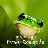 Relaxing Forest Frog Sounds