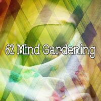 62 Mind Gardening