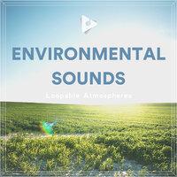 Environmental Sounds