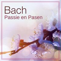 Bach: Passie en Pasen