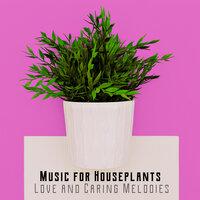 Music for Houseplants: Love and Caring Melodies – Provide Them Better Growth and Life Conditions Thanks to This Soothing Natural Music