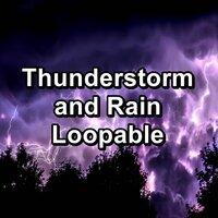 Thunderstorm and Rain Loopable
