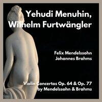 Violin concertos op. 64 & op. 77 by mendelssohn & brahms