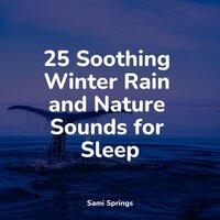 25 Soothing Winter Rain and Nature Sounds for Sleep