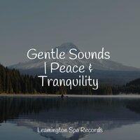 Gentle Sounds | Peace & Tranquility