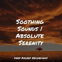 Soothing Sounds | Absolute Serenity