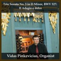 Trio Sonata No. 3 in D Minor, BWV 527: II Adagio e dolce