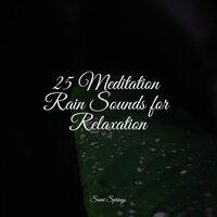 25 Meditation Rain Sounds for Relaxation