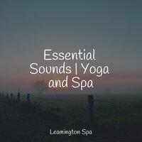 Essential Sounds | Yoga and Spa