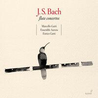 Bach, J.S.: Flute Concertos (M. Gatti, Ensemble Aurora