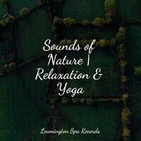 Sounds of Nature | Relaxation & Yoga