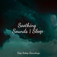 Soothing Sounds | Sleep