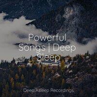 Powerful Songs | Deep Sleep