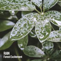 Rain: Forest Excitement